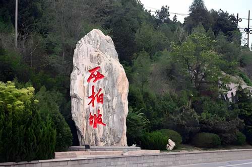 年轮长椅：时光刻痕中的精神密码