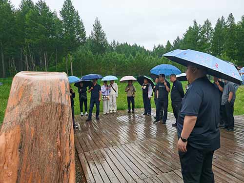 2025年朝阳某区检方赴塞罕坝研学：实地探访王尚海纪念林与防火指挥中心