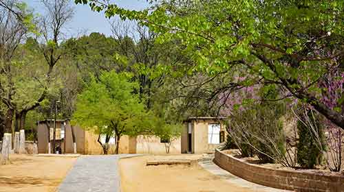 西柏坡红色教育为基层党组织干部培训注入强劲动力