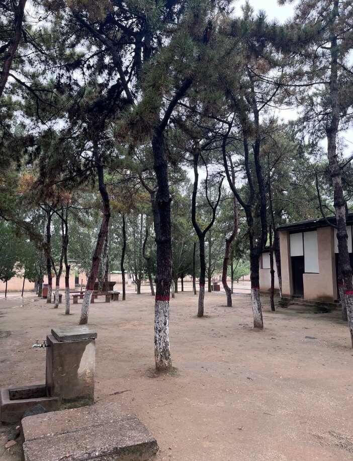 企事业单位党支部西柏坡培训 这些亮点引关注