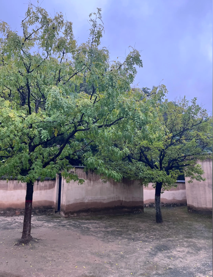 d73ec9d4-7181-4013-a668-1d114797154e.png d73ec9d4-7181-4013-a668-1d114797154e.png