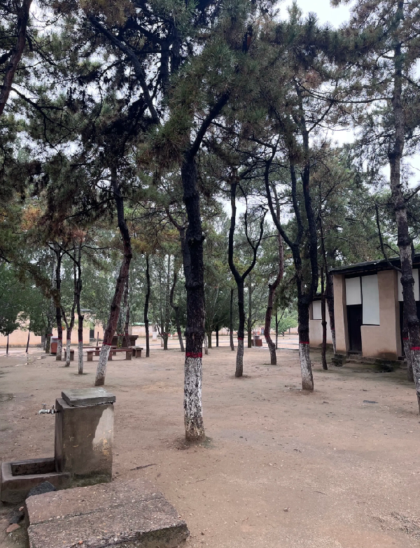 思政教师西柏坡培训 筑牢红色教育感染力根基