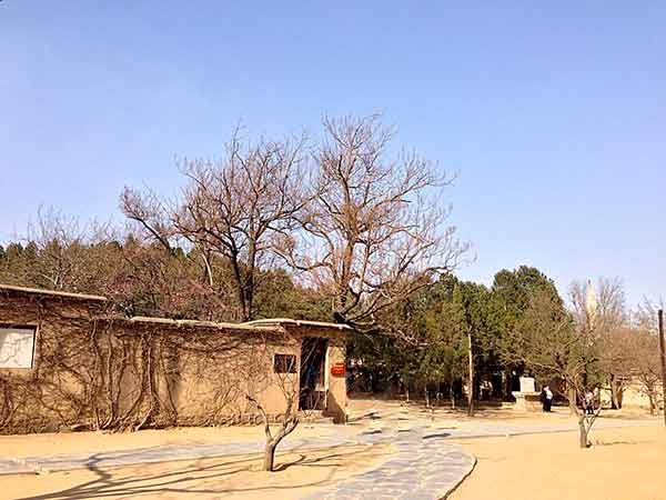 西柏坡党建培训：淬炼党性 塑造党员干部新形象