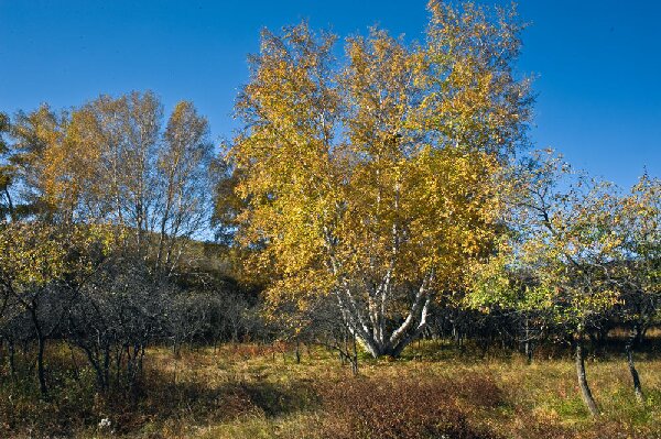 西柏坡红色教育：为干部培训注入红色动能