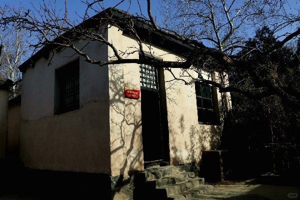 走进西柏坡 党建培训解锁红色育人新路径