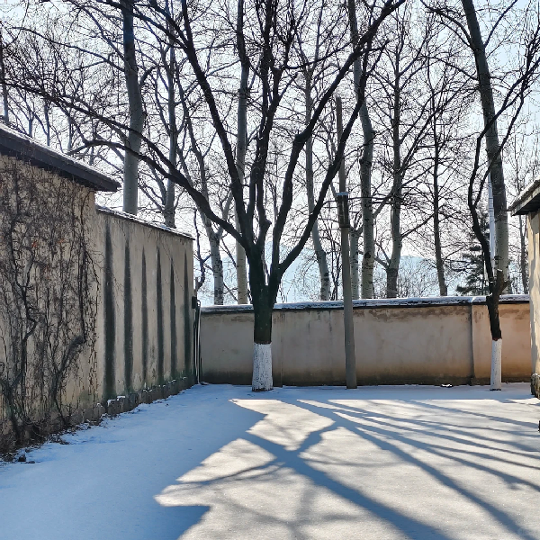 干部培训新视角：西柏坡红色历史现场教学赋能实干